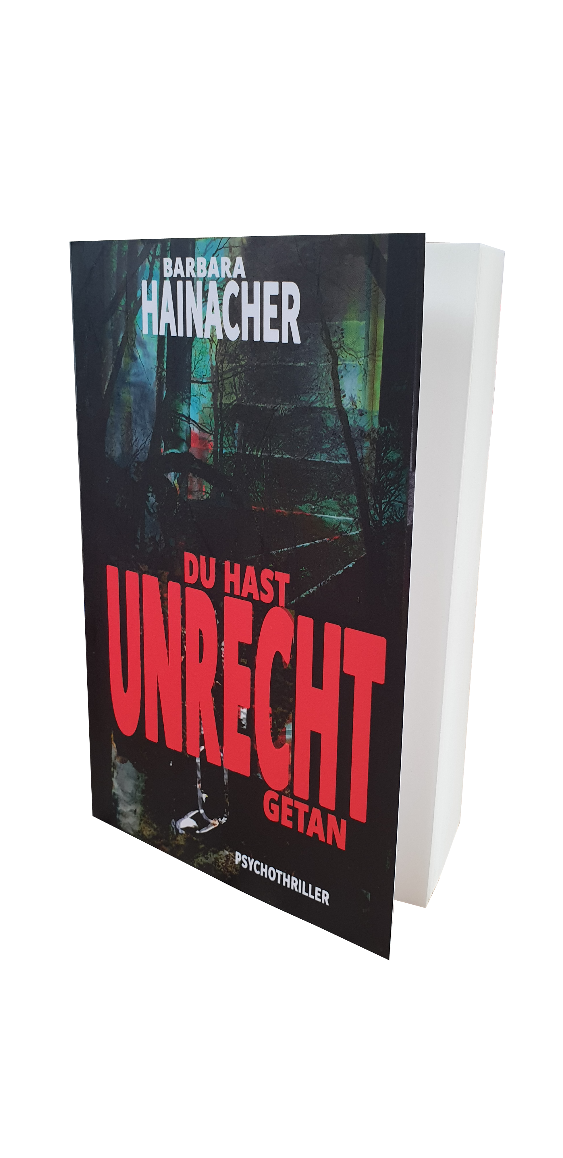 Buch Du hast Unrecht getan